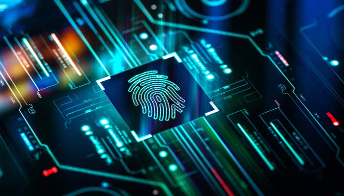 Investigations and People