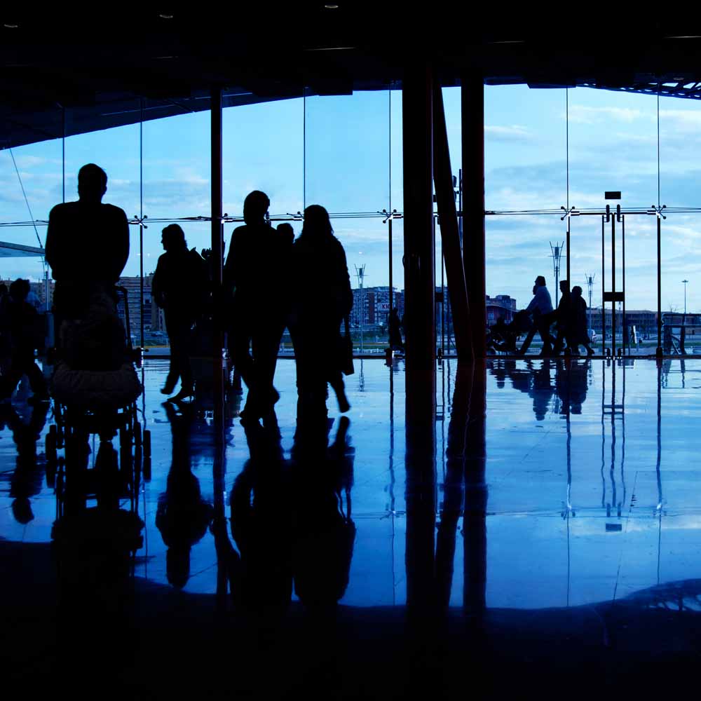 Physical Security Consulting