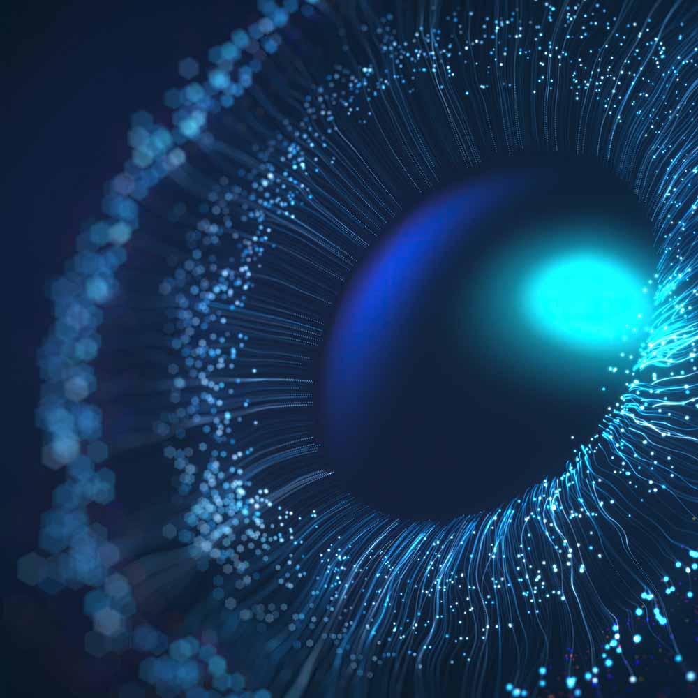 Surveillance Training