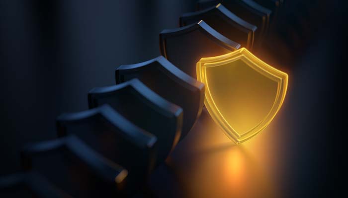 Tailored Security Services