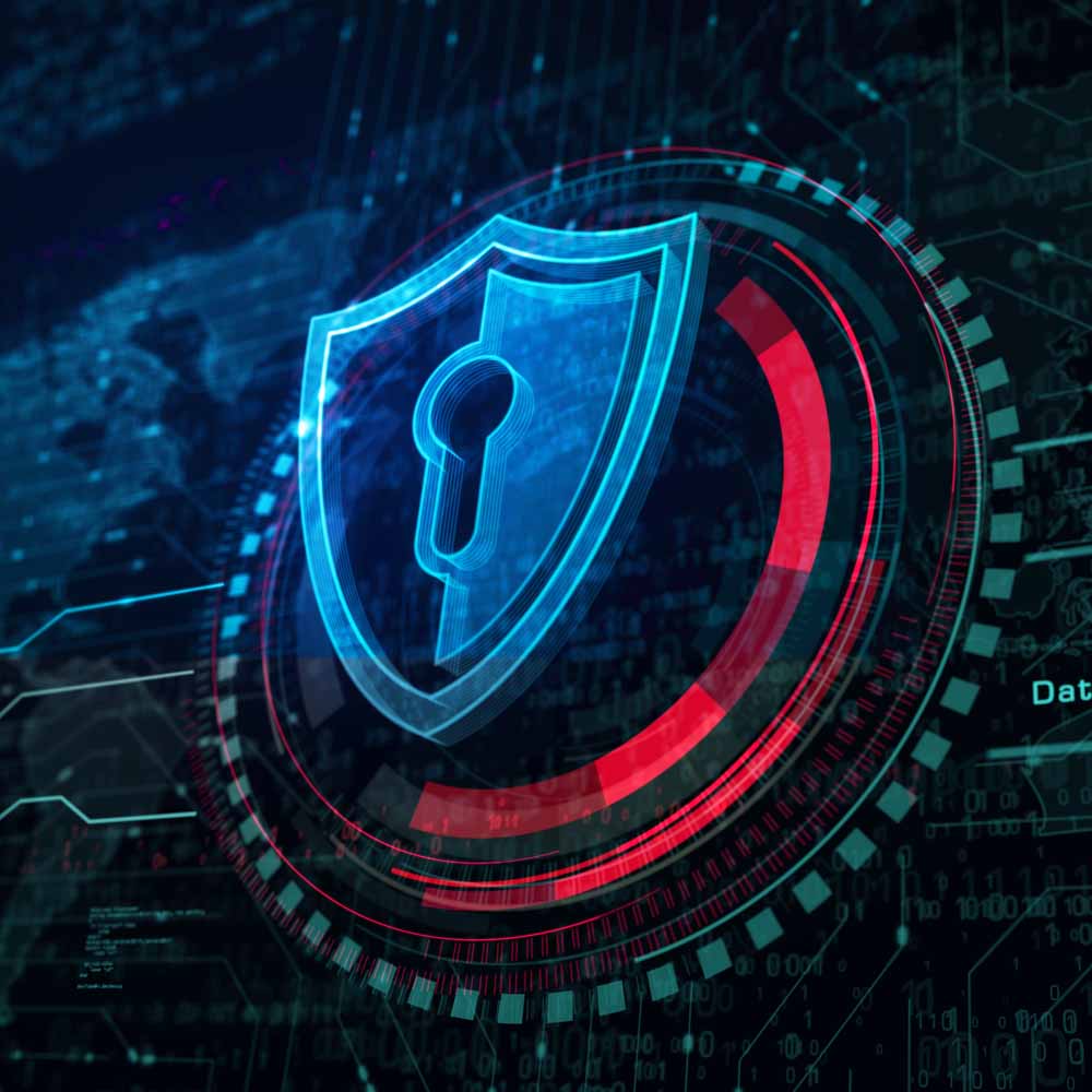 Toro's Vanguard Membership