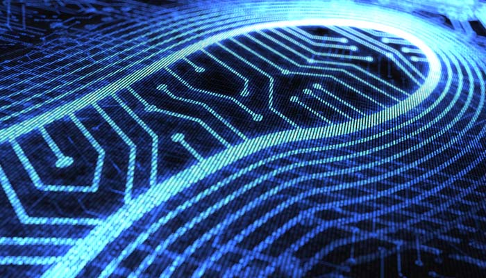 Digital Footprint Monitoring